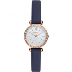 Ремешок Fossil BQ3899