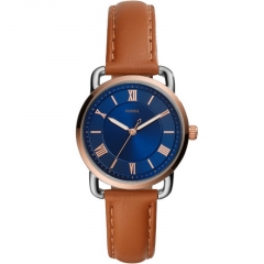 Ремешок Fossil ES4825