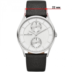 Ремешок Skagen SKW6065