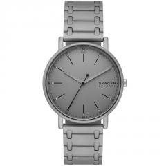 Ремешок Skagen SKW6913