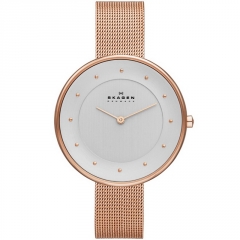 Ремешок Skagen SKW2142