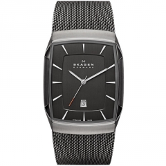 Ремешок Skagen SKW6012