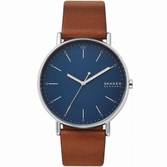 Ремешок Skagen SKW6551