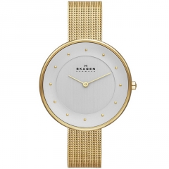 Ремешок Skagen SKW2141