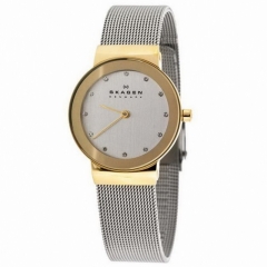 Ремешок Skagen SKW1055