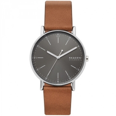 Ремешок Skagen SKW6578