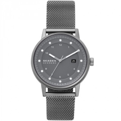 Ремешок Skagen SKW6741