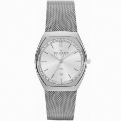 Ремешок Skagen SKW2049