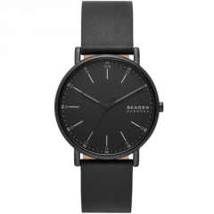 Ремешок Skagen SKW6902