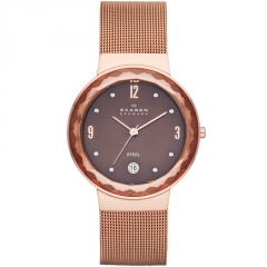 Ремешок Skagen SKW2068