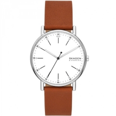 Ремешок Skagen SKW6903