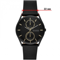 Ремешок Skagen SKW6911