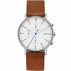 Ремешок Skagen SKW6462