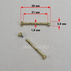 Крепление для ремешка: 21 мм, ø1,8 мм, Gold | Festina
