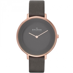 Ремешок Skagen SKW2216