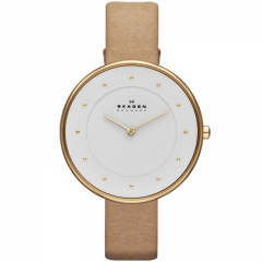 Ремешок Skagen SKW2137