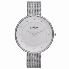 Ремешок Skagen SKW2140