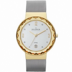 Ремешок Skagen SKW2002