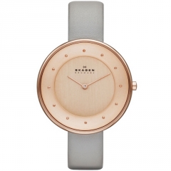 Ремешок Skagen SKW2139