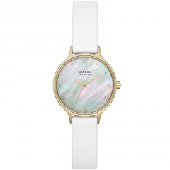 Ремешок Skagen SKW3138