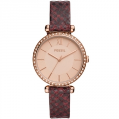 Ремешок Fossil BQ3551