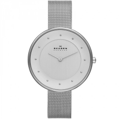 Ремешок Skagen SKW2140